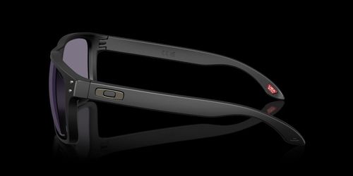 Gafas Oakley Holbrook XXL