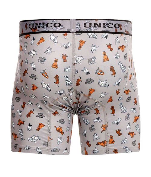 Boxer Único para Hombre 24070100204595959