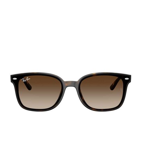 Gafas Ray-Ban 0RB4461D 710/1364