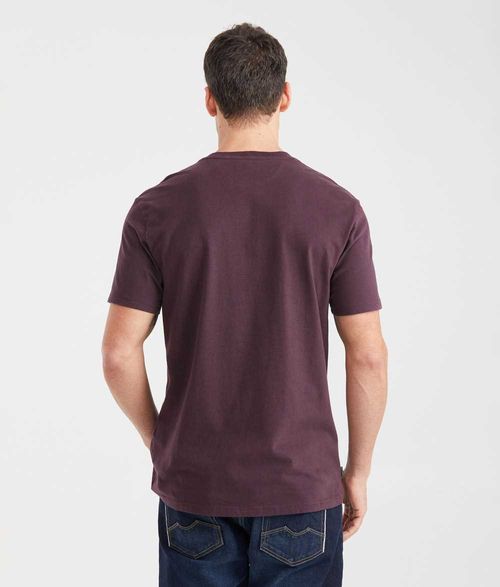 Camiseta Chevignon para Hombre 641G002