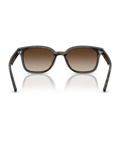Gafas Ray-Ban 0RB4461D 710/1364