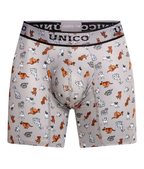 Boxer Único para Hombre 24070100204595959