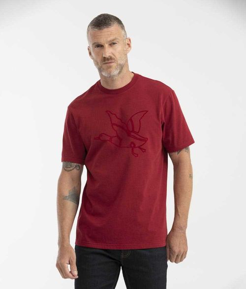 Camiseta Chevignon para Hombre 642G002