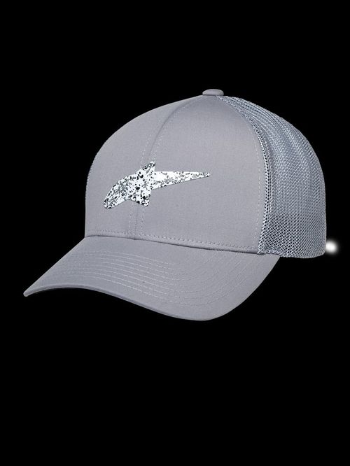 Gorra Alpinestars Terolithic Trucker