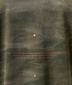 10043810430