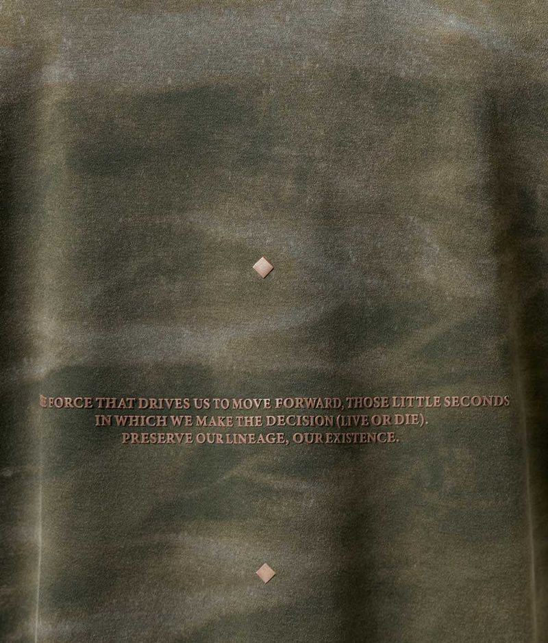10043810430